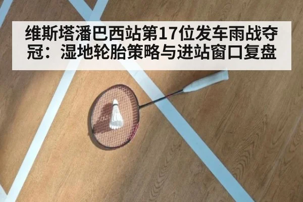 维斯塔潘巴西站第17位发车雨战夺冠：湿地轮胎策略与进站窗口复盘